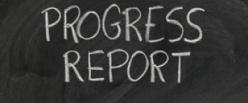 Manual_Progress Report on MIS 