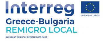 Project “REMICRO LOCAL”: open public electronic tender 